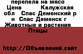 перепела на мясо › Цена ­ 800 - Калужская обл., Спас-Деменский р-н, Спас-Деменск г. Животные и растения » Птицы   